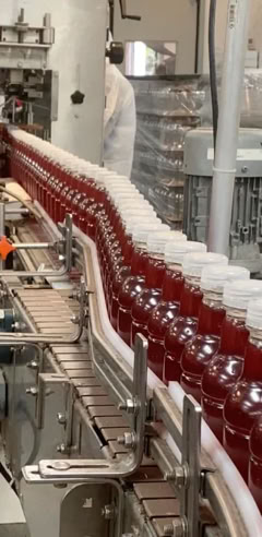 16oz beverage bottles transported on conveyor during co-packing at Nutrition Labs