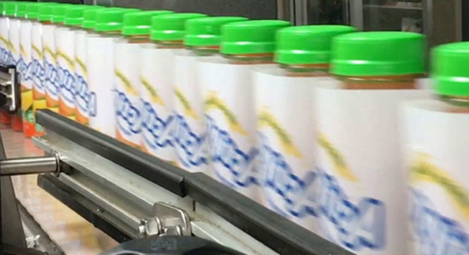 Protein drink bottles on conveyor at Nutrition Labs beverage co-packing facility in Clearwater, Florida